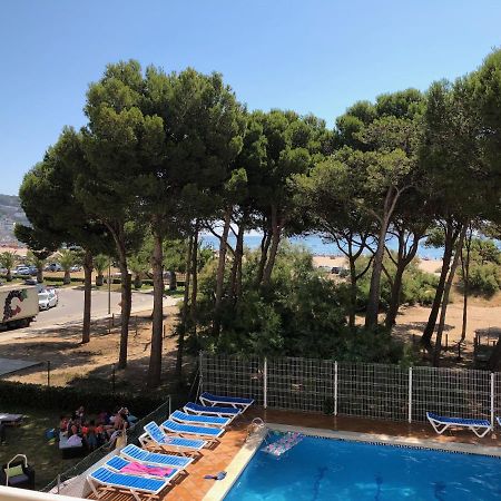 Trill Mirasol C Primera Linea Mar L'Estartit Eksteriør bilde